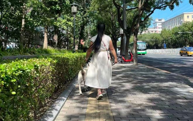 犬打犬爬完泰山后狗狗体检健康希望它能尽早回到身边pg电子“带导盲犬夜爬泰山”当事人再发声：否认虐(图7)