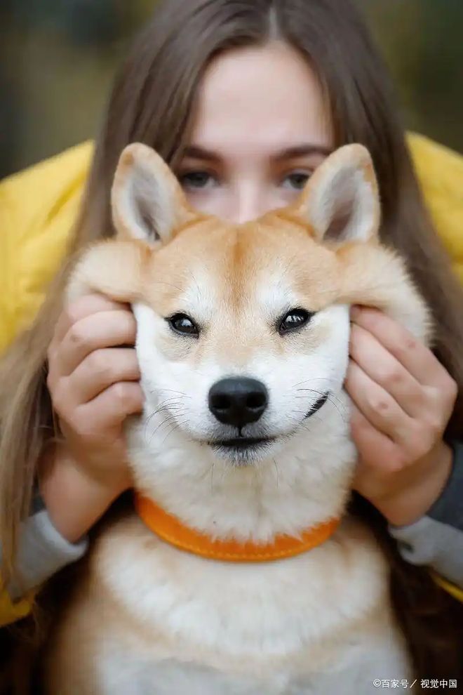 ：抗寒有优势但这些细节不能漏！pg电子模