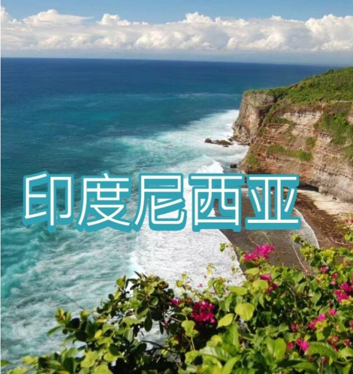 国国际电商(印尼)产业博览会pg电子模拟器试玩2025中(图3) 国国际电商(印尼)产业博览会pg电子模拟器试玩2025中(图3)